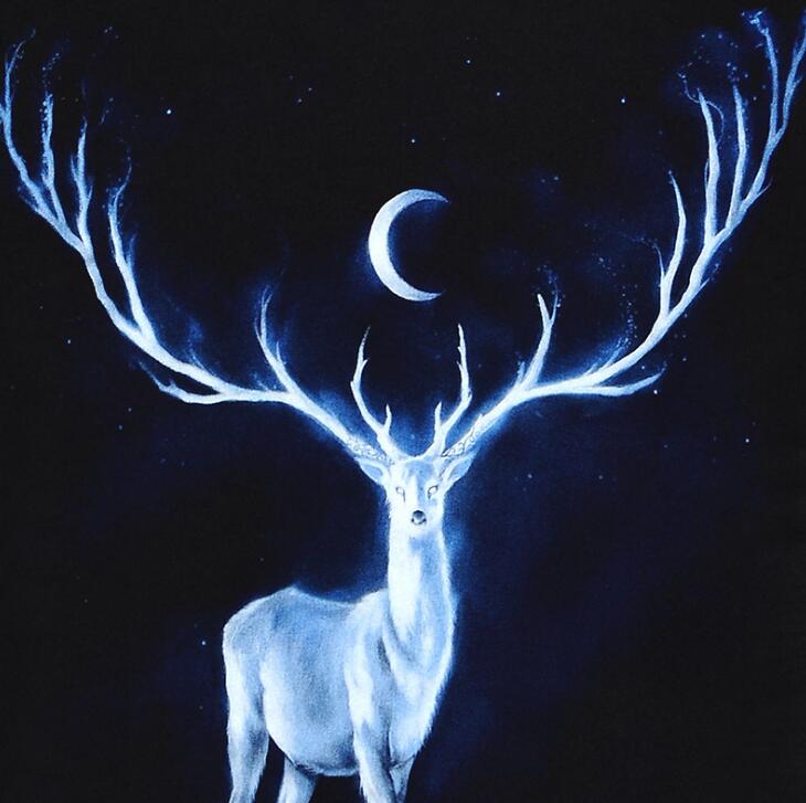 My Patronus - Glow in the Dark Tee Shirt